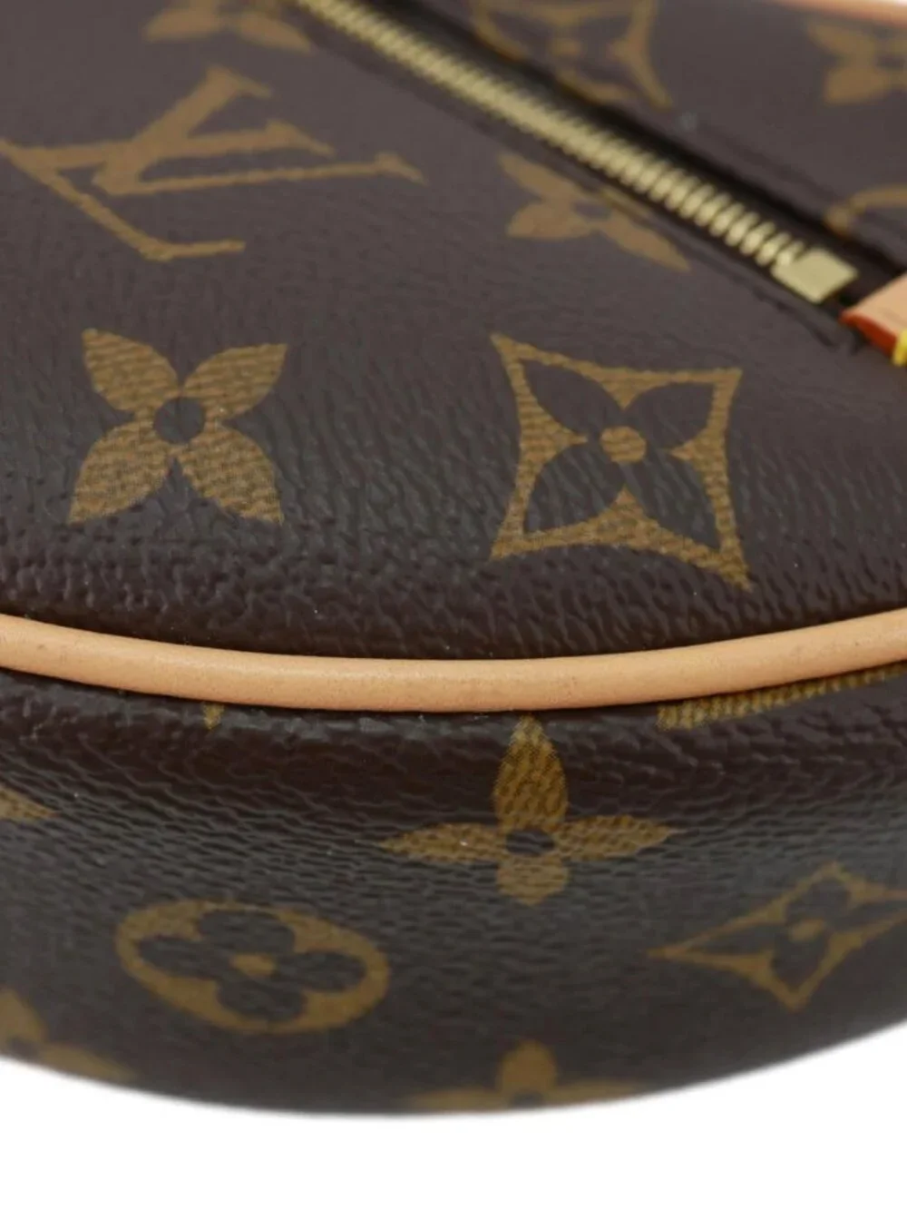 Louis Vuitton  Loop Monogram Reverse Canvas Hobo Bag Brown